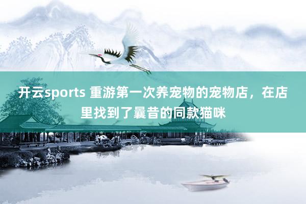 开云sports 重游第一次养宠物的宠物店，在店里找到了曩昔的同款猫咪
