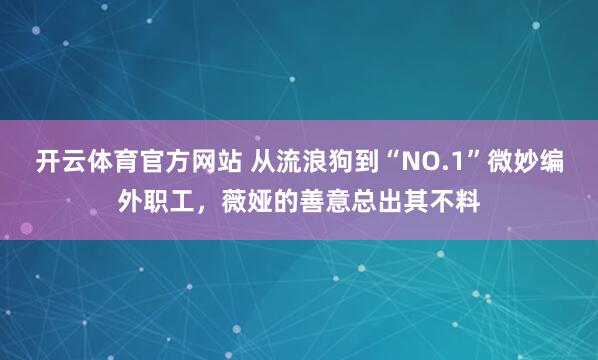 开云体育官方网站 从流浪狗到“NO.1”微妙编外职工，薇娅的善意总出其不料