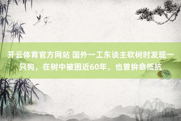 开云体育官方网站 国外一工东谈主砍树时发现一只狗，在树中被困近60年，也曾拚命抵抗