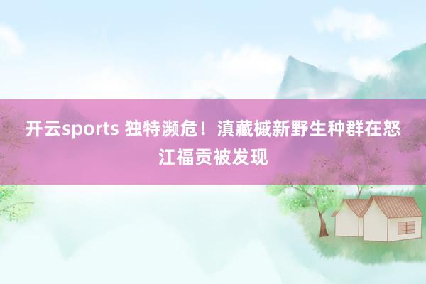 开云sports 独特濒危！滇藏槭新野生种群在怒江福贡被发现