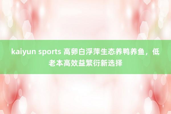 kaiyun sports 高卵白浮萍生态养鸭养鱼，低老本高效益繁衍新选择