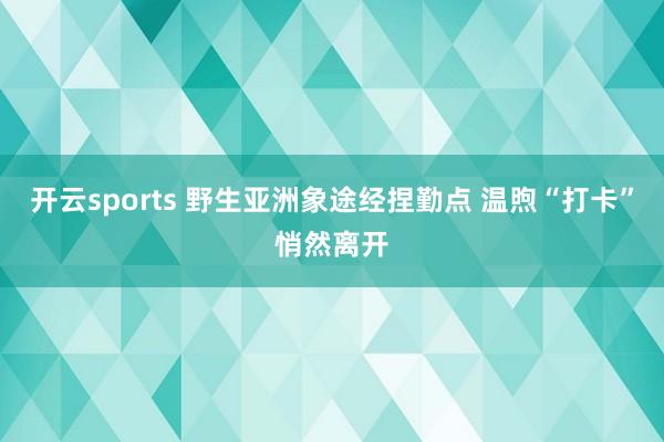 开云sports 野生亚洲象途经捏勤点 温煦“打卡”悄然离开