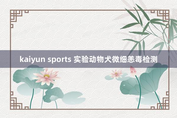 kaiyun sports 实验动物犬微细恙毒检测