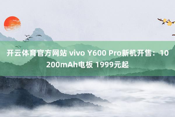 开云体育官方网站 vivo Y600 Pro新机开售：10200mAh电板 1999元起